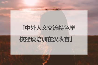 中外人文交流特色学校建设培训在汉收官